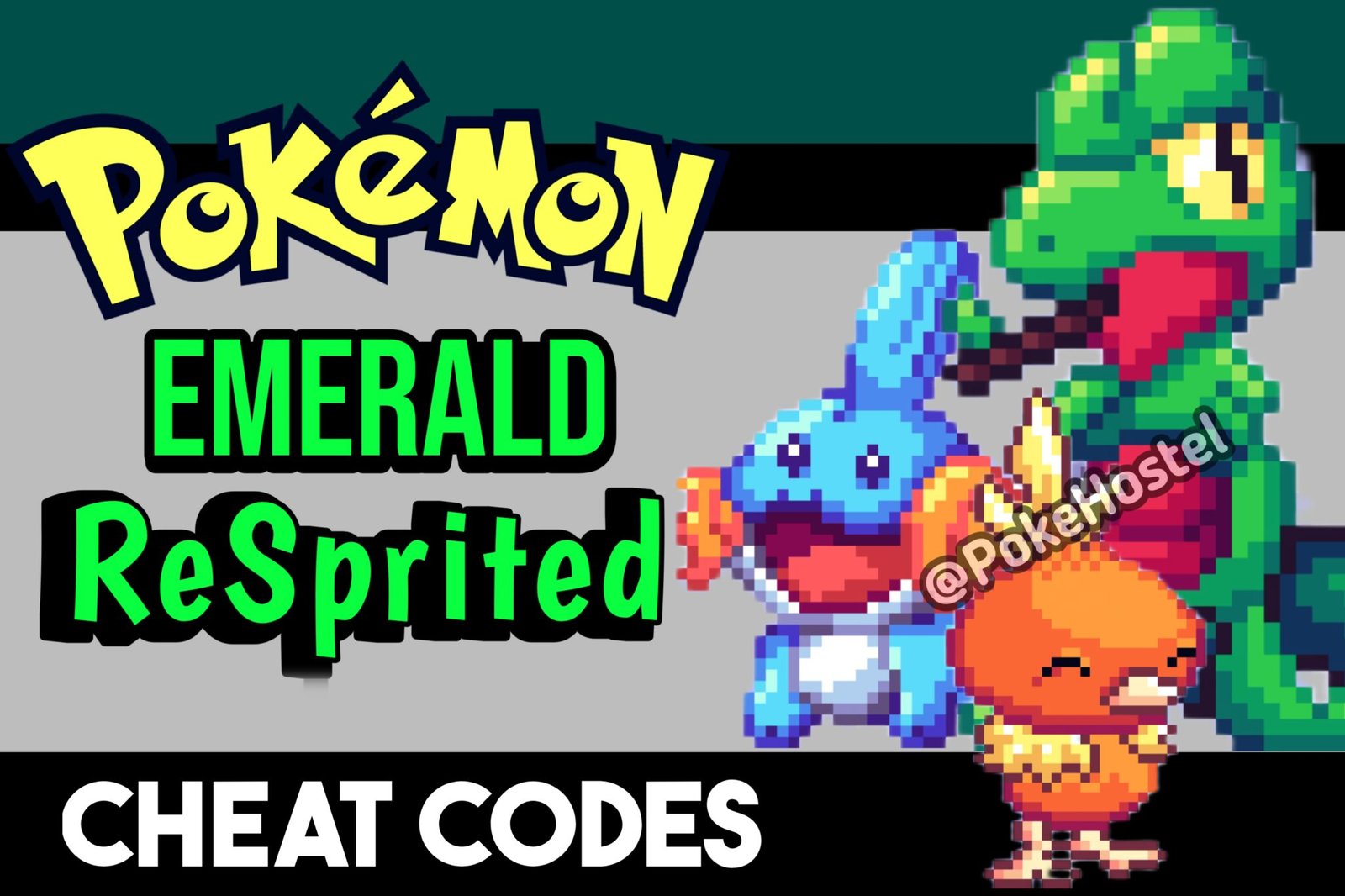 Pokemon Emerald ReSprited Cheat Codes (Rare Candy, Master Ball) GBACodes