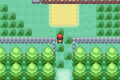 Pokemon Smoky Red Pokemon Smoky Red
