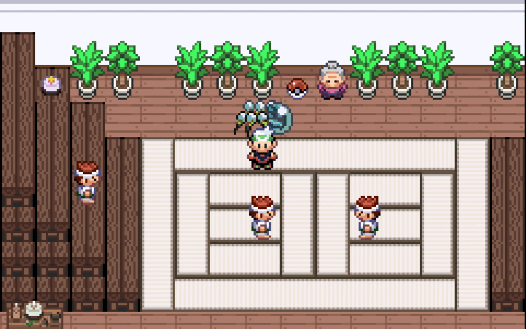 Pokemon Triver