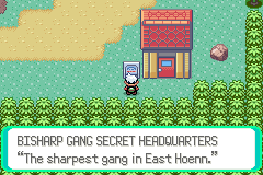 Pokemon Randolocke
