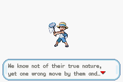 Pokemon Arthropoda Dytiscid