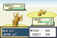 Pokemon Arthropoda Dytiscid