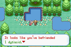 Pokemon Arthropoda Dytiscid