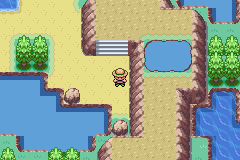 Pokemon Arthropoda Dytiscid