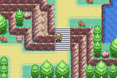 Pokemon Arthropoda Dytiscid