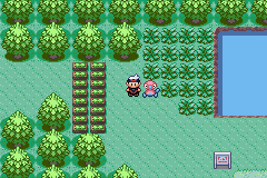 Pokemon Dull Pokemon Dull