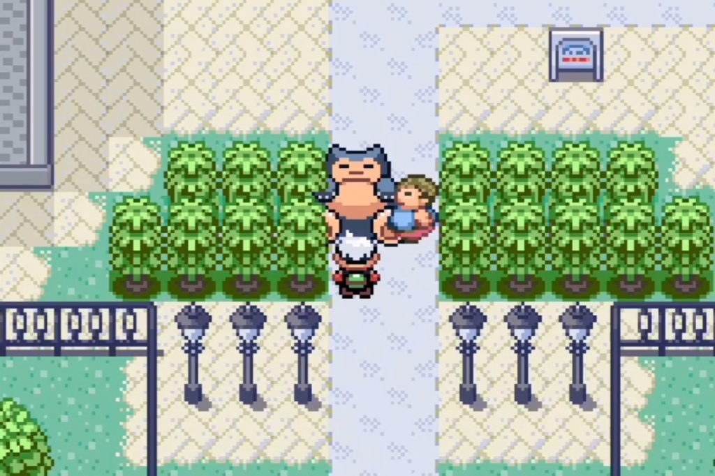 Pokemon Phantom Order