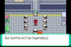 Pokemon Too Many Types 2