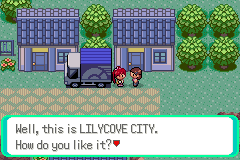 Pokemon Too Many Types 2