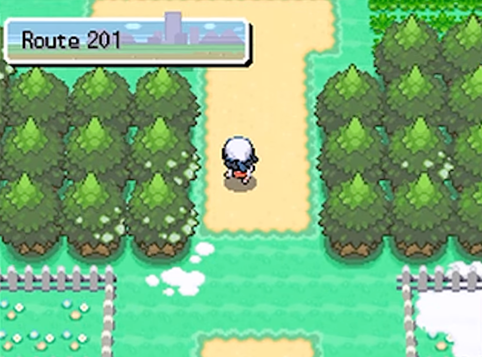 Pokemon Platinum Kaizo Hall of Fame Rules - GBACodes