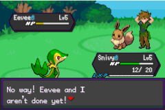 Pokemon Amethyst
