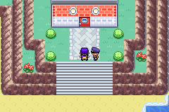 Pokemon Celia's Stupid